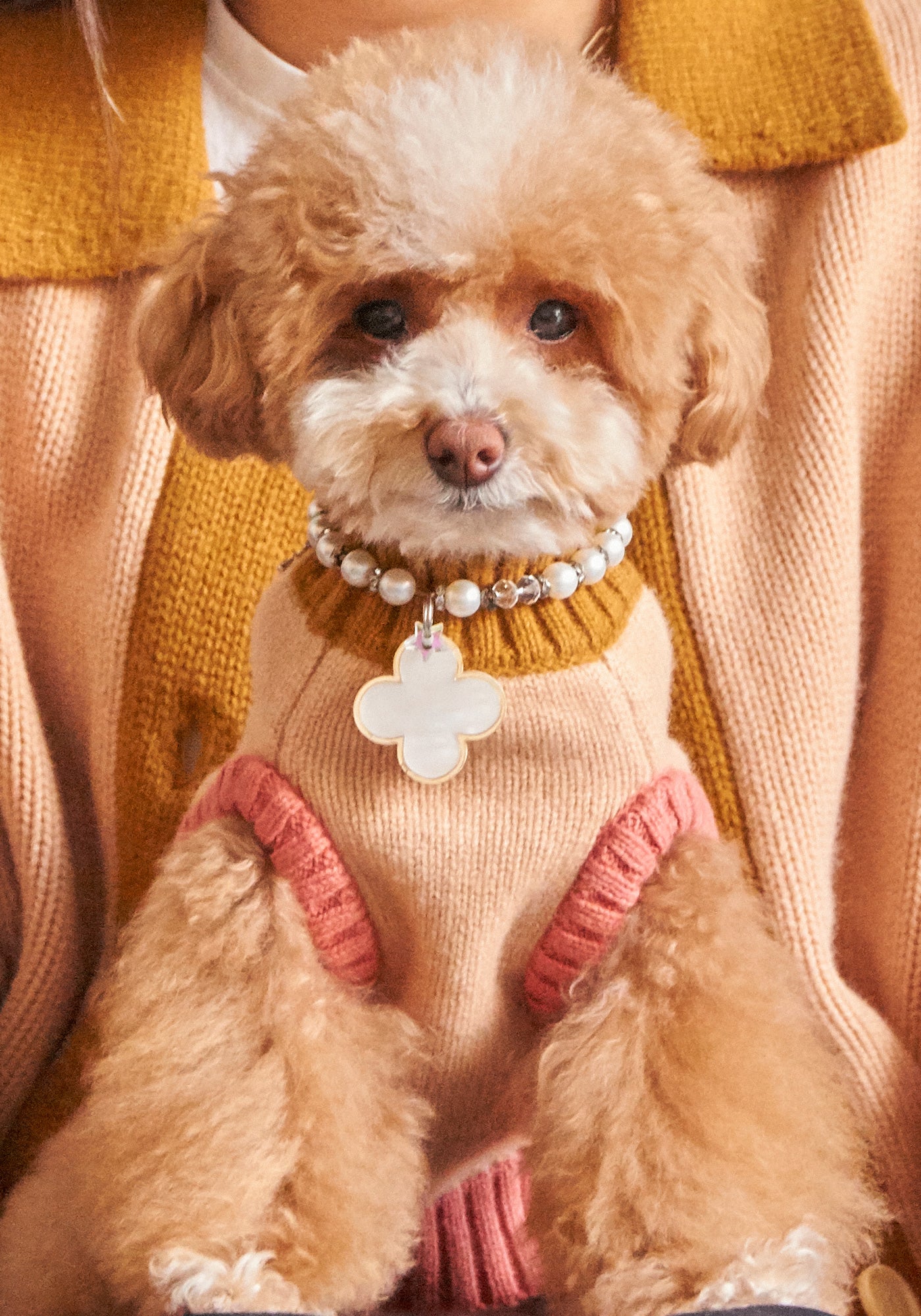 Nooee Pet Vest Sweater