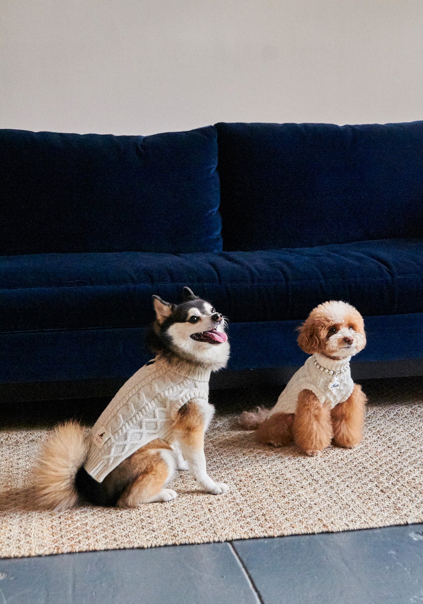 Nooee Pet Cable Sweater