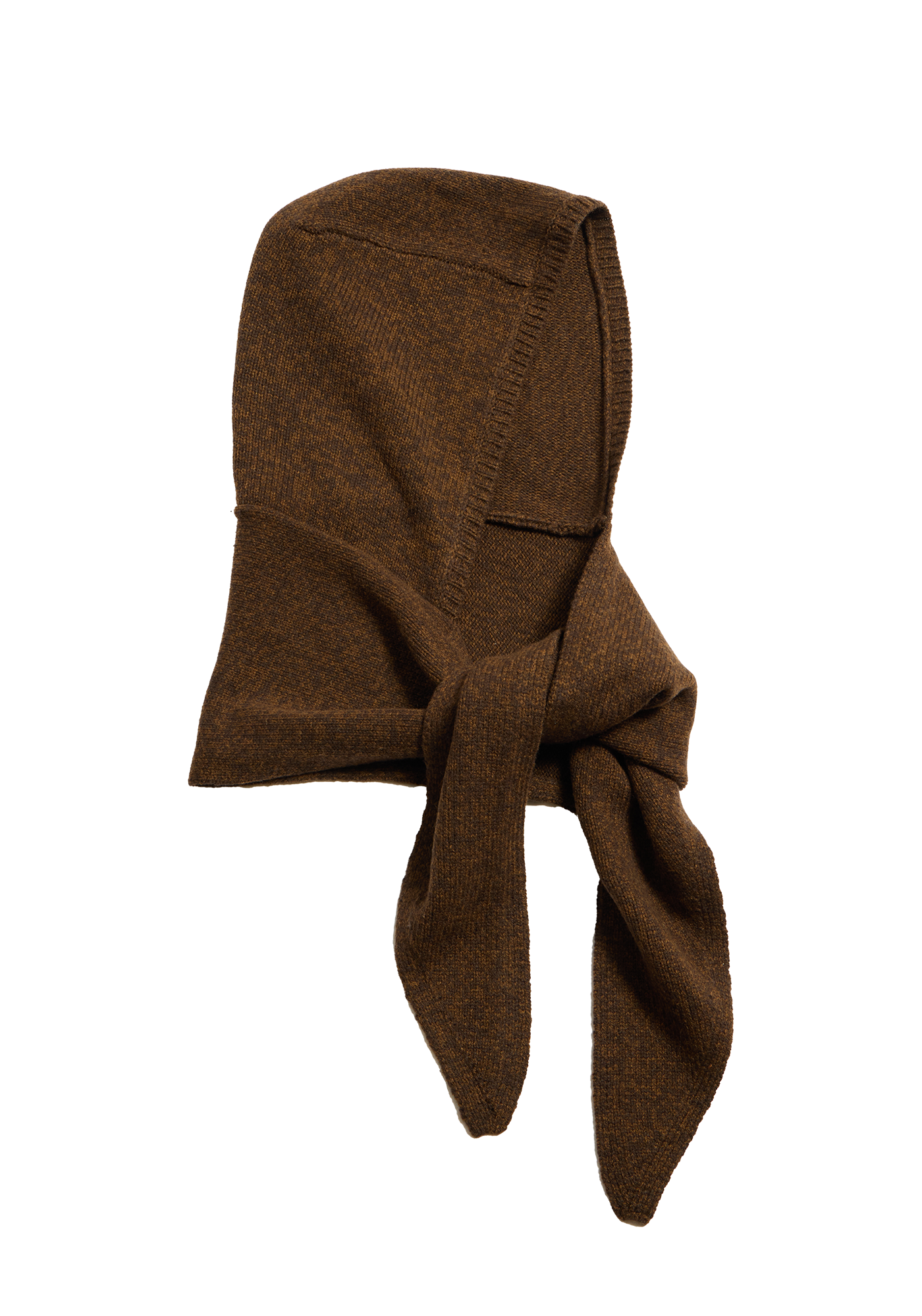 Aster Wool Melange Hooded Scarf