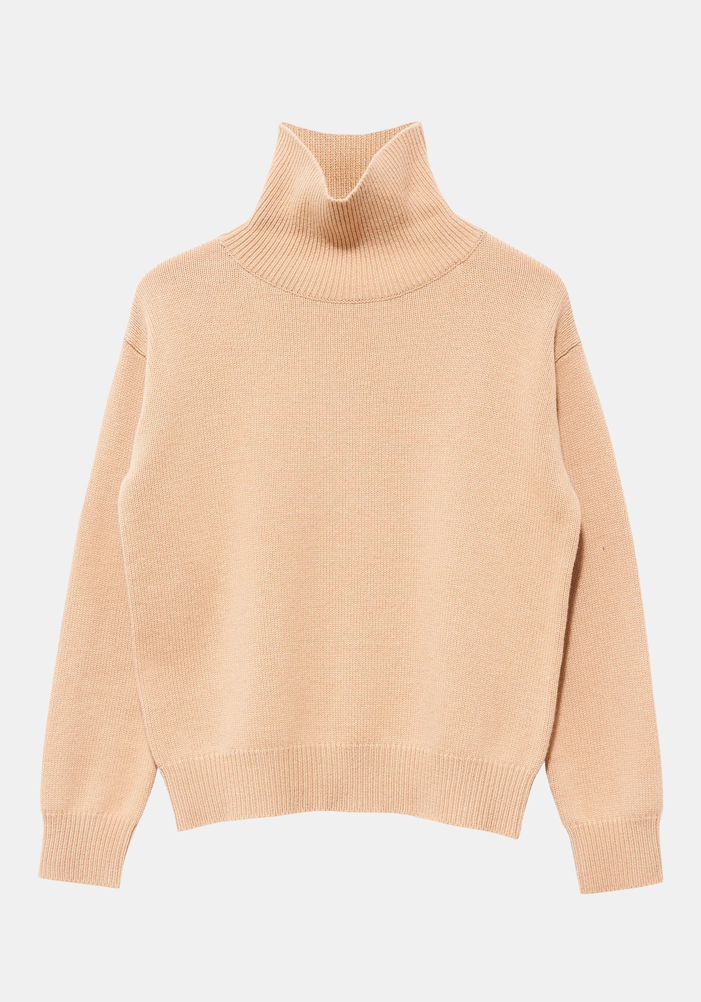Zaida Turtleneck Sweater